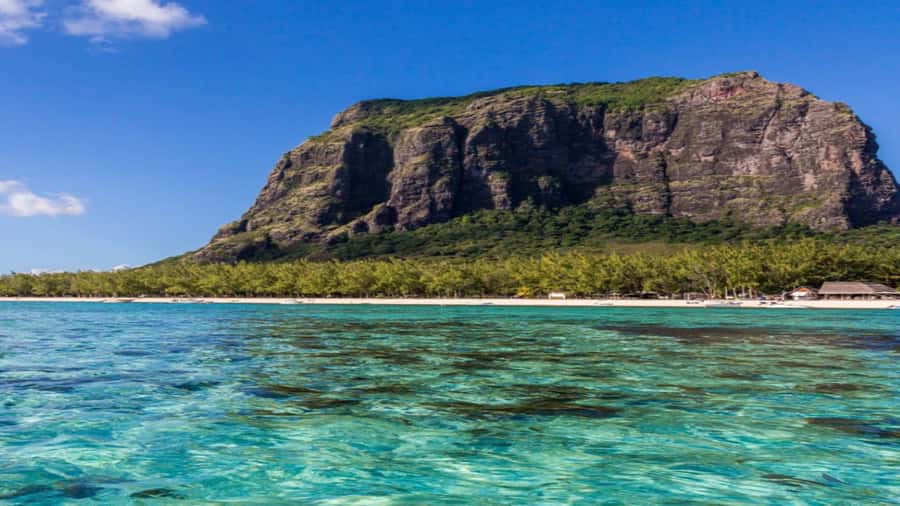 Private Île aux Bénitiers Boat: Dolphin Snorkeling & Lobster - Is $738 good value for four people?
