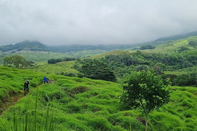 Private Mountain Biking Experience in the Wild South of Mauritius - Green, blue, and red trails for different riders
