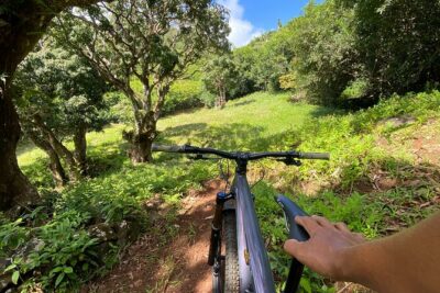 Private Mountain Biking Experience in the Wild South of Mauritius