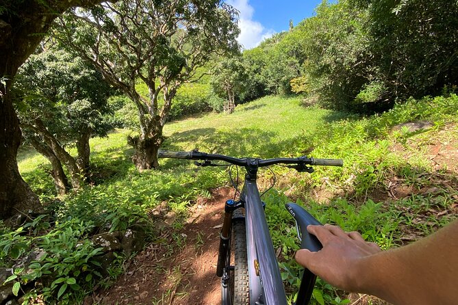 Private Mountain Biking Experience in the Wild South of Mauritius - Why the shuttle changes the ride