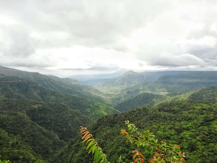 Private Southwest Tour with Local Lunch & Entrance Fees - Chamarel and the 7-Coloured Earth
