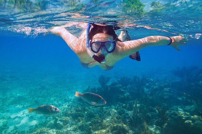 Private speed boat to Ile aux Cerfs full-day Incl: Lunch & Transfer - Practical advice for a smoother day