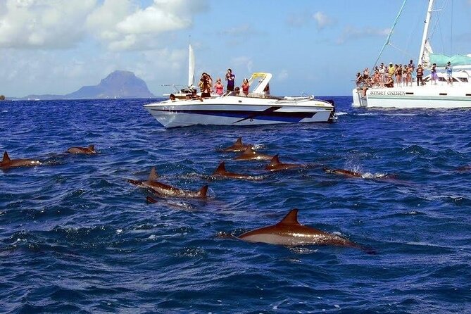 Private Speed Boat Tour and Dolphin Encounter at Ile aux Benitier - Crystal Rock and views toward Le Morne