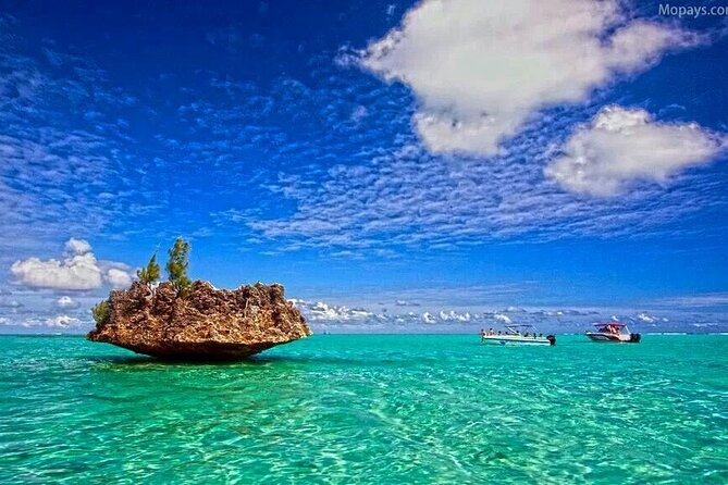 Private Speed Boat Tour and Dolphin Encounter at Ile aux Benitier - Lunch and free time on Ile aux Benitiers