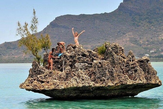 Private Speed Boat Tour and Dolphin Encounter at Ile aux Benitier - Practical details that shape the day