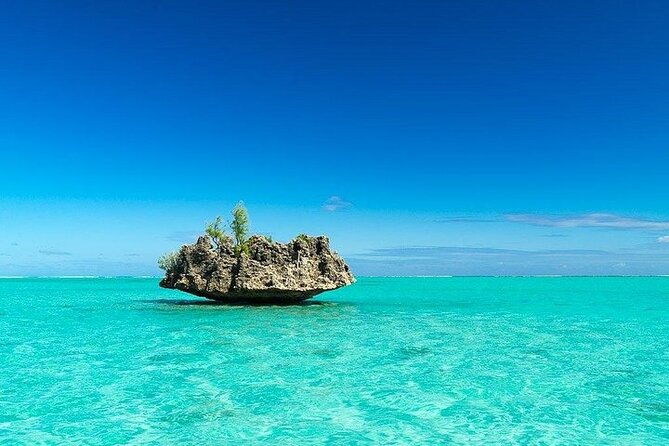 Private Speed Boat Tour and Dolphin Encounter at Ile aux Benitier - Who will enjoy this private outing?