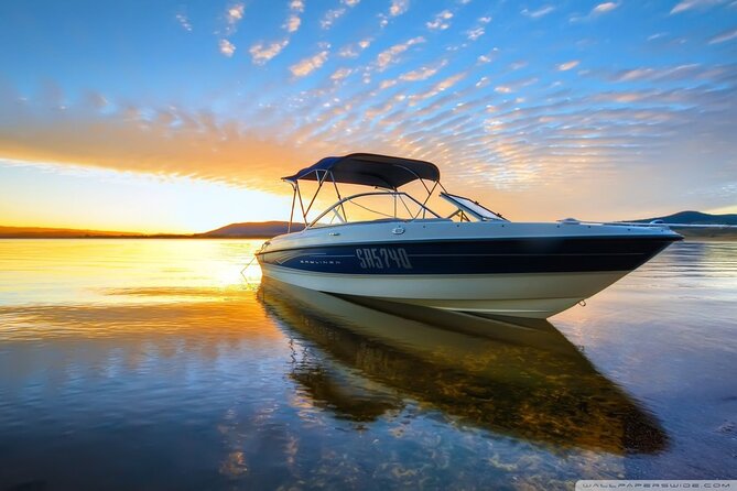 Private Speed Boat Tour and Dolphin Encounter at Ile aux Benitier - Swimming with dolphins in open water