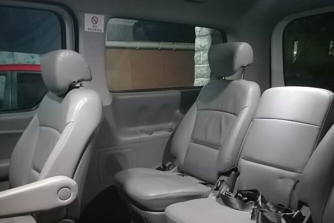 Private Transfer from Airport to Hotel in Mauritius - Families need to give the child’s age