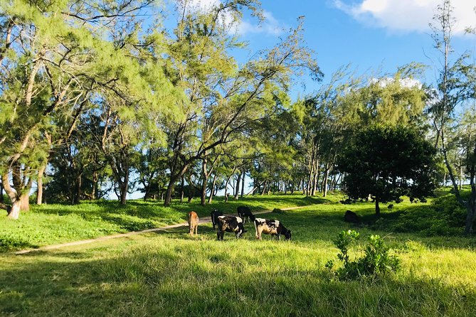Quad Excursion South Mauritius 35km - Pont Naturel and the volcanic rock bridge