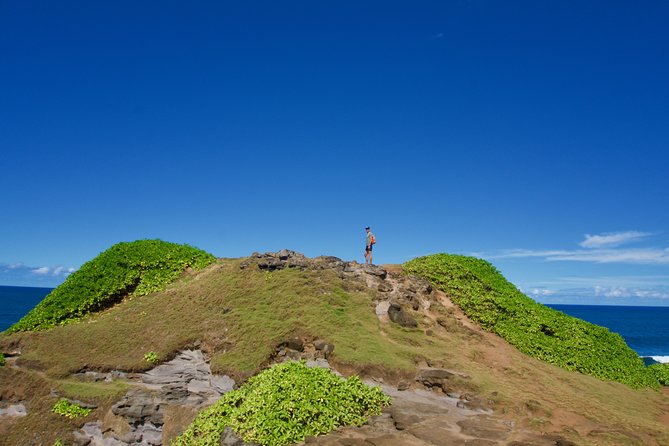 Randonnée - Le Sud Sauvage - A small group with Mathieu
