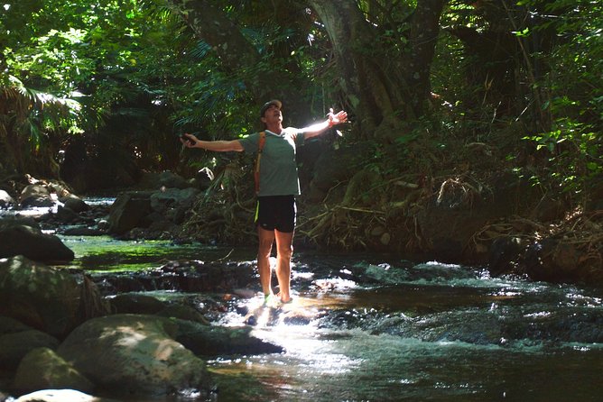 Randonnée - Le Sud Sauvage - Who should book this three-hour hike