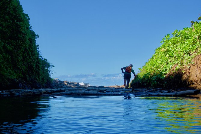 Randonnée - Le Sud Sauvage - Following rivers, waterfalls, and natural pools