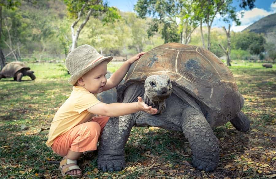 Riambel: South Tour w/ Crocodile Park & Seven Colored Earth - What this private south Mauritius tour is really like