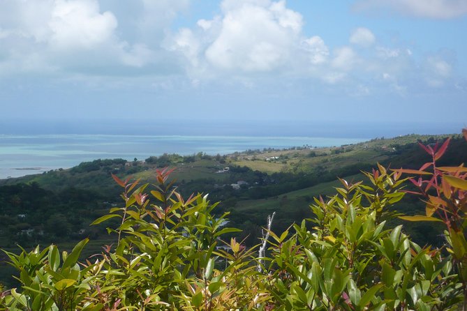 Rodrigues Island - ORIGINE Guided Tour - Port Mathurin: starting with the island’s past