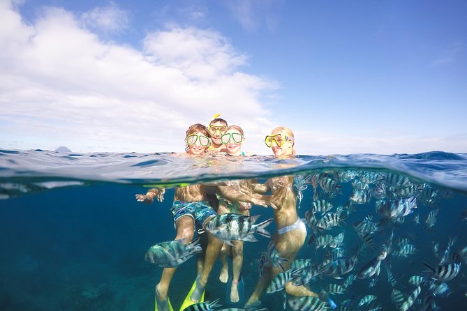 Sailing Catamaran Cruises - At a glance