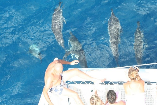 Sailing Catamaran Cruises - Setting out from Black River at 9:00 a.m.