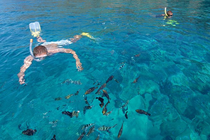 Sailing Catamaran Cruises - Benetier Island and the beach break
