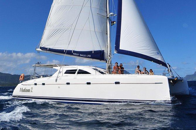 Sailing Catamaran Cruises - Dolphins, lagoons, and time in the water