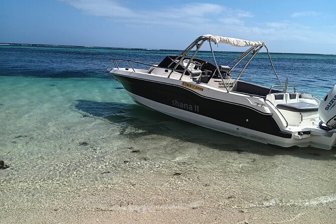 Shared 10 Pax Boat Tour: Dolphin Watching, Snorkelling and BBQ - How the skipper shapes the day