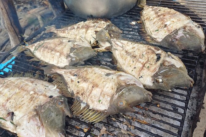 Shared 10 Pax Boat Tour: Dolphin Watching, Snorkelling and BBQ - Who should book this boat tour?