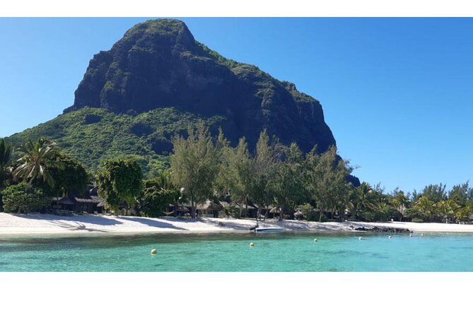 Signature Experience: Dolphins and Flavors of the Sea - Le Morne is the setting, not just the meeting point