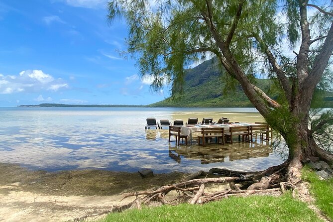 Signature Experience: Dolphins and Flavors of the Sea - Ile aux Benitiers and the seafood barbecue