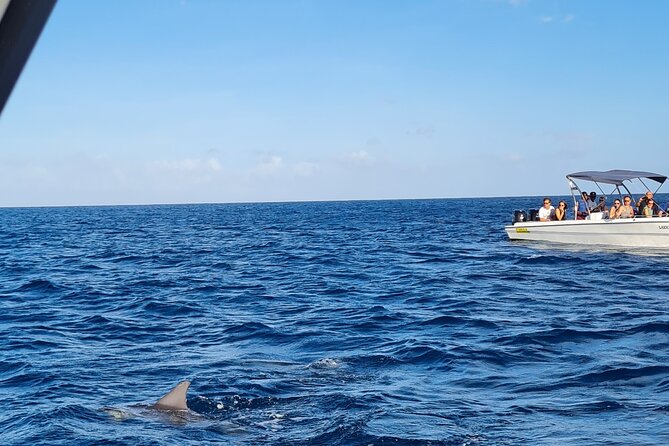 Snorkel with Dolphins, Lunch on Benitiers island, Speedboat - Tamarin Bay at 7:30 am