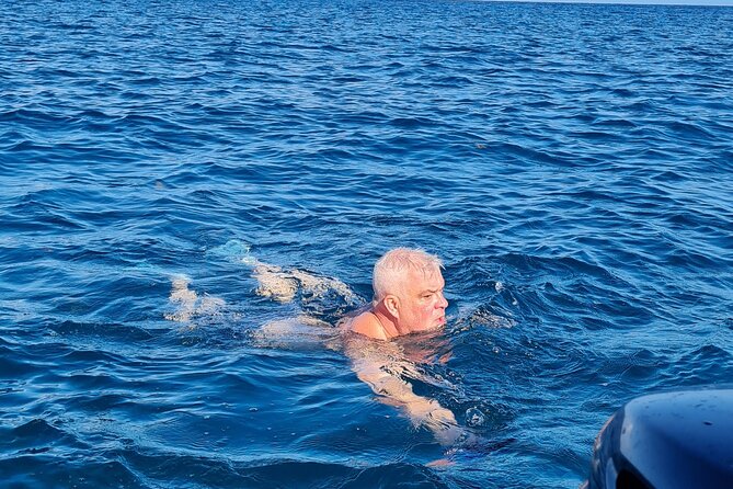 Snorkel with Dolphins, Lunch on Benitiers island, Speedboat - Ile aux Benitiers after the speedboat ride