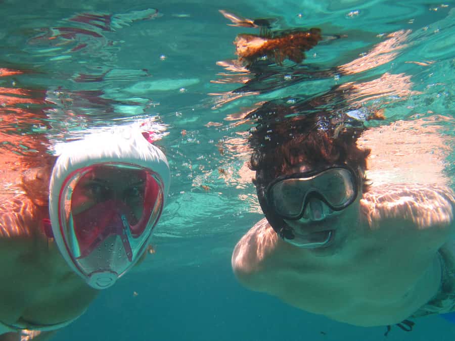 Snorkeling Excursion in Blue Bay Marine Park - What the Blue Bay trip actually delivers