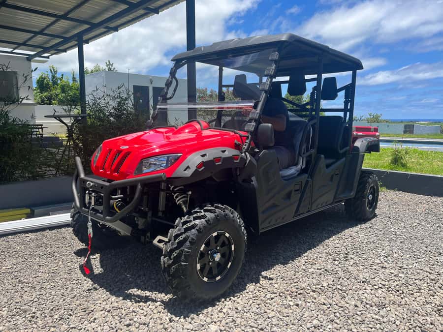 South Mauritius : Buggy Tour - Crossing Royal Palm Forest