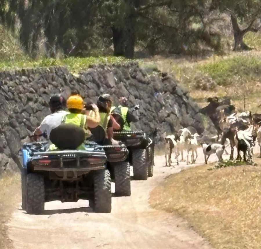 South of Mauritius: Quad Bike Tour - The beach stop at La Cambuse