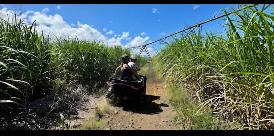 South of Mauritius: Quad Bike Tour - What the riding feels like for beginners