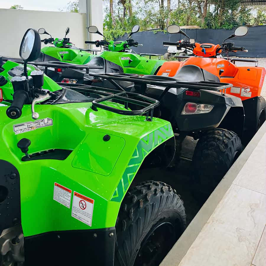South Of Mauritius Quadbike and Snorkeling Blue Bay - Booking details that matter