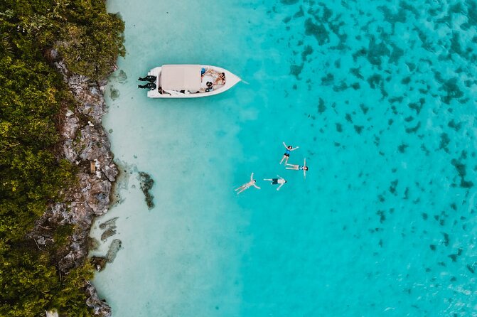 Speedboat Ile aux Cerfs + GRSE Waterfall, BBQ and Bar - Snorkeling and marine life expectations