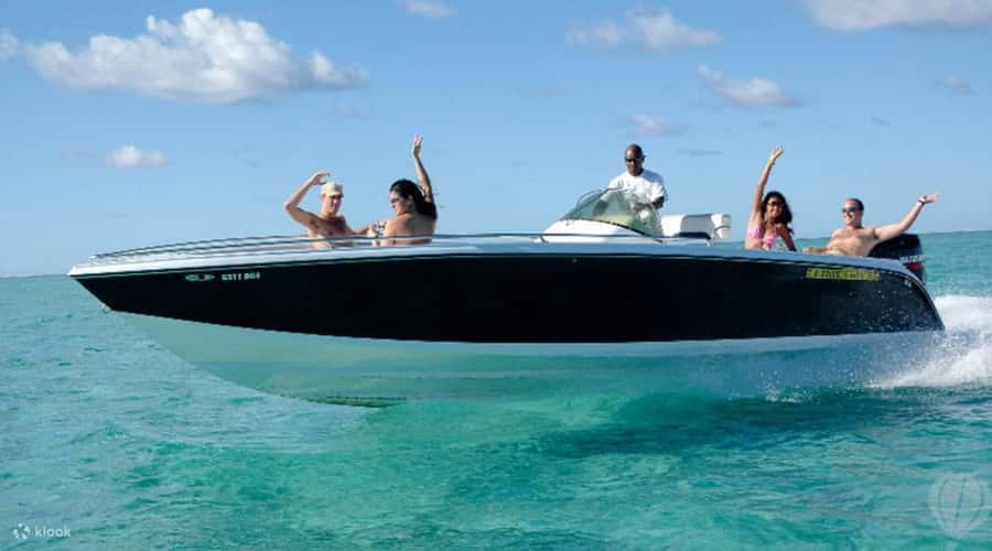 Speedboat to Ile aux Benitier: Dolphin Encounter & Lunch - Crystal Rock is scenic, but keep your expectations realistic