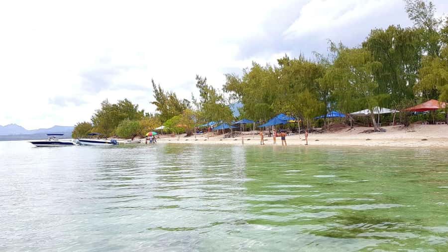 Speedboat to Ile aux Benitier: Dolphin Encounter & Lunch - A speedboat ride that is part of the attraction