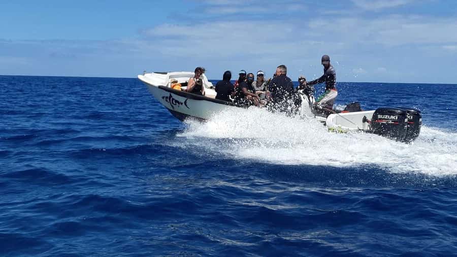 Tamarin Bay: Beginners Scuba Diving Experience - Why this Tamarin Bay session works for complete beginners