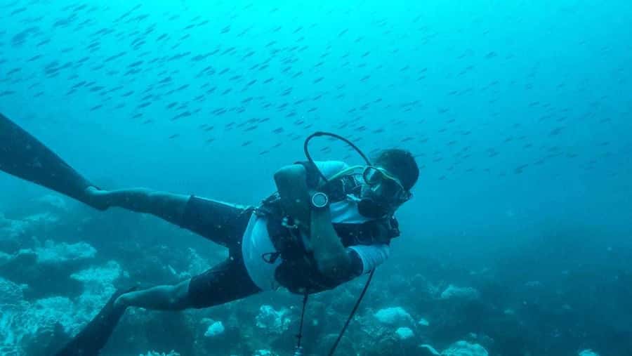 Tamarin Bay: Beginners Scuba Diving Experience - What you may see below the surface