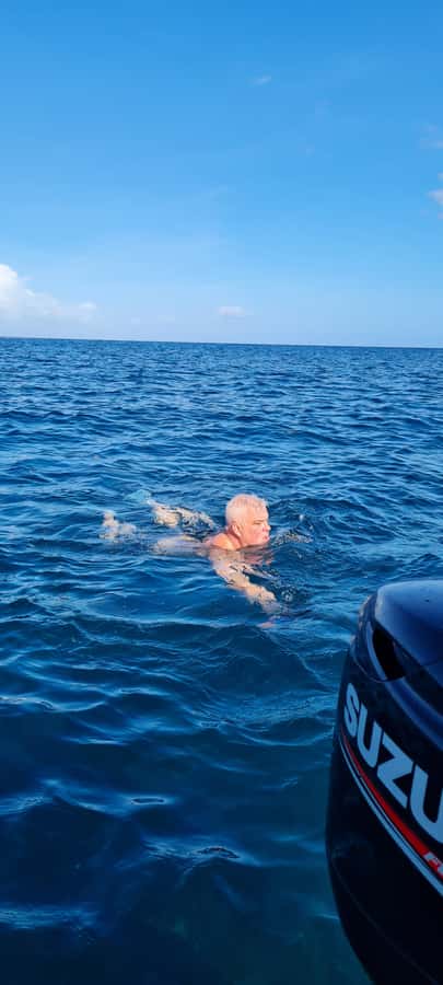 Tamarin: Dolphin Snorkel, CrystalRock, ile o Benitiers Lunch - What the $77 price includes