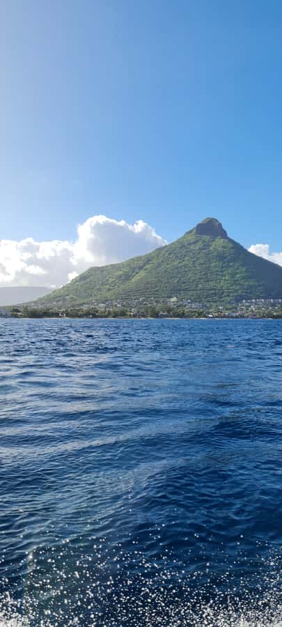 Tamarin: Dolphin Snorkel, CrystalRock, ile o Benitiers Lunch - Should you book it?