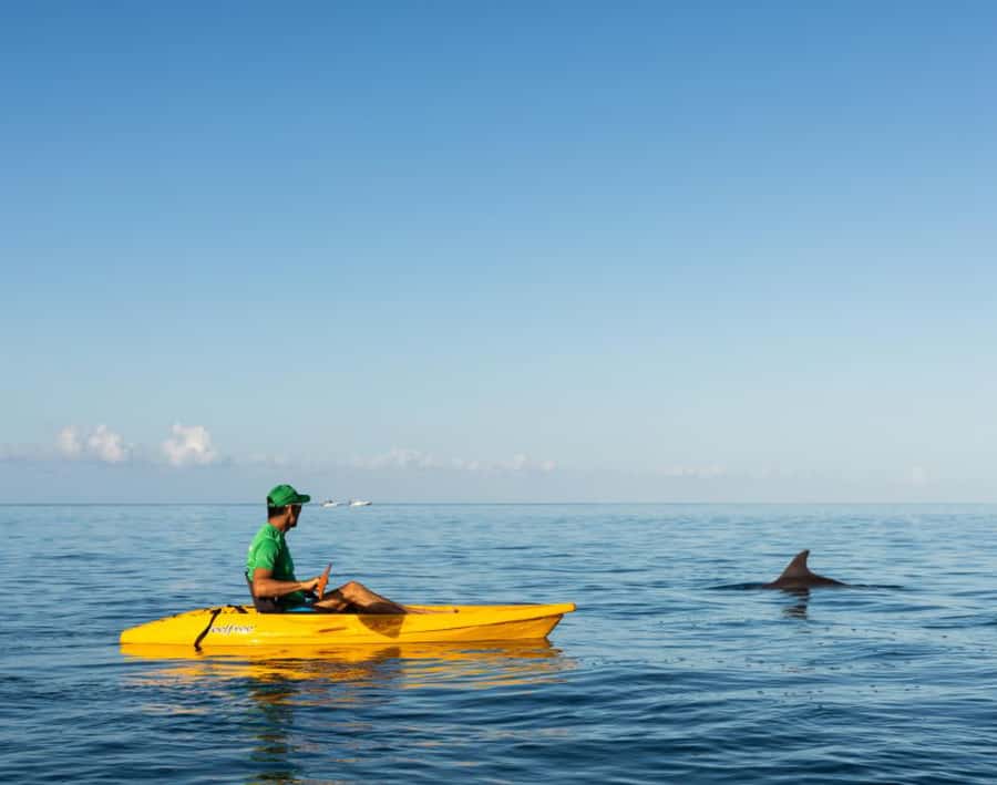 Tamarin: Guided Kayak Tour with Dolphins - Key points to know before you book