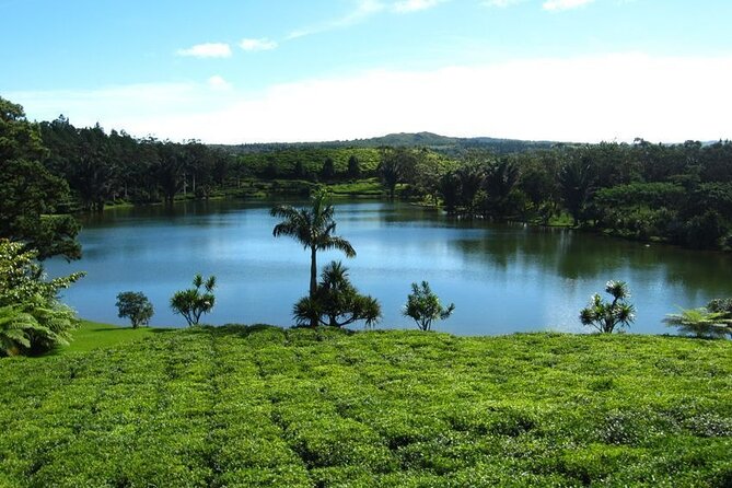 Tea and Culture Route - A full day that connects Mauritius through food, faith, and farming