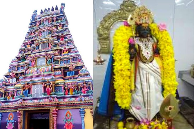 Tea and Culture Route - Bois Cheri, where tea becomes the main event
