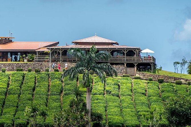 Tea Experience in the Exotic South of Mauritius Private tour. - Floreal mixes shopping with factory visits