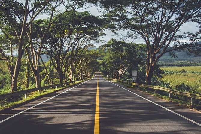 Tea Experience in the Exotic South of Mauritius Private tour. - Trou aux Cerfs gives you a volcanic opening