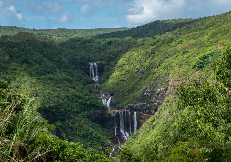 Tea Route: Lake, Forest, Tea Plantation & 3 Course Lunch - A full day through Mauritius’s cooler, greener south