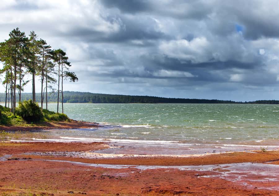 Tea Route: Lake, Forest, Tea Plantation & 3 Course Lunch - The guide can make or break the route