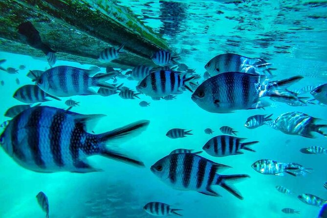 The beautiful East of Mauritius:incl Blue-Bay Marine Park, Crocodile park &Lunch - A three-course lunch breaks up the sightseeing