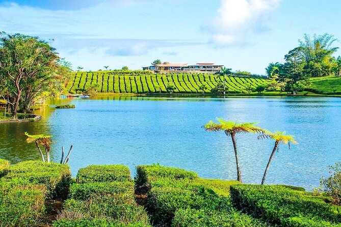 The East Discovery Tour: Bois-Cheri Tea Factory, Blue-Bay Marine Park & Lunch - Guide quality and the importance of confirming the plan