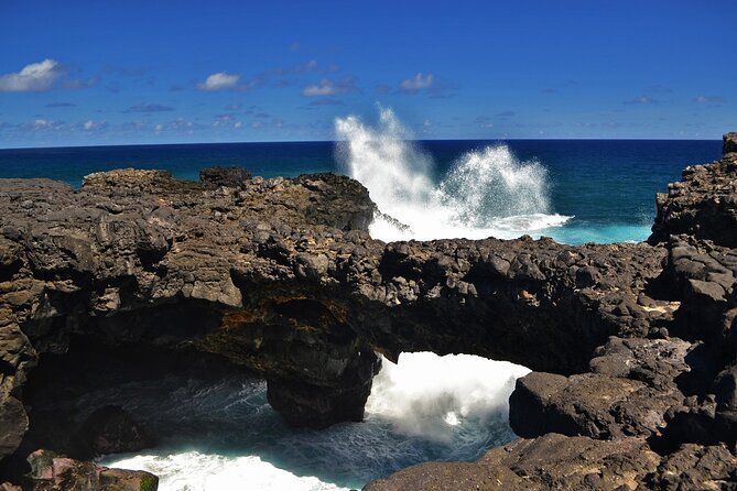 The East of Mauritius: Full-day incl visit to Ile aux Aigrettes & Lunch - Bazar Street and everyday Mauritian life